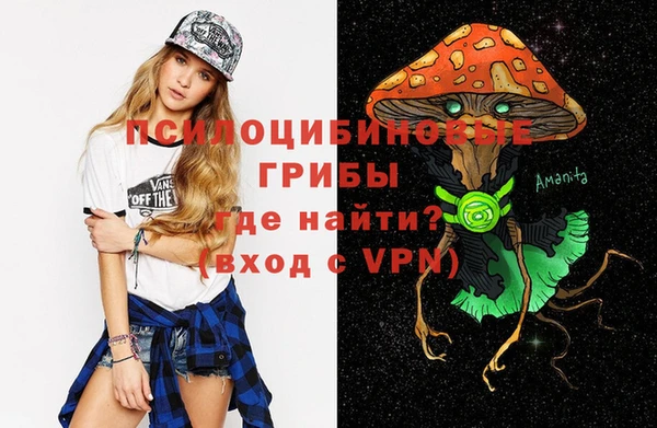 Альфа ПВП Володарск