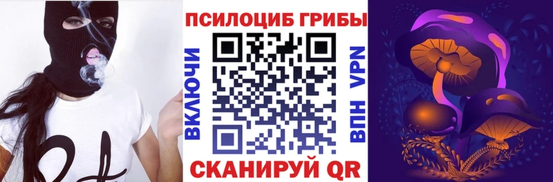 Купить закладки  Плёс  Псилоцибиновые грибы мицелий 
